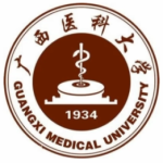 医疗大模型