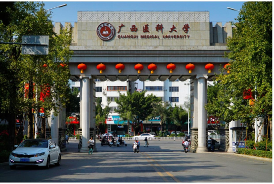 DUBHEDI枢星数智科技助力广西医科大学大模型算法开发研究项目