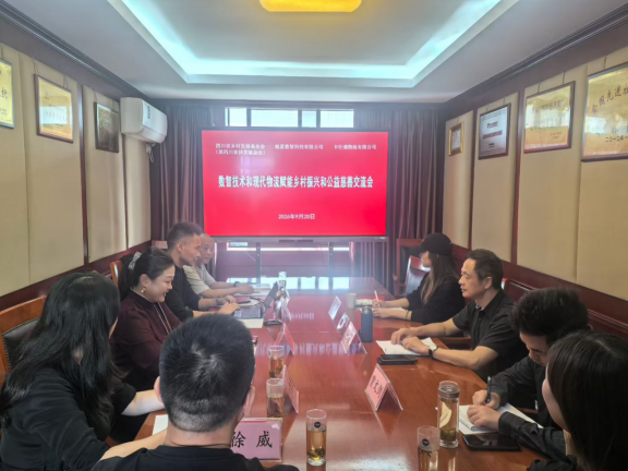 DUBHEDI枢星数智科技创始人杨道文博士分享数智技术赋能乡村振兴方案