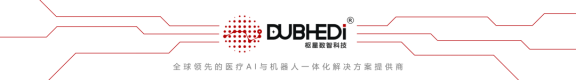 DUBHEDI 枢星数智科技